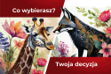 GRA "JĘZYK SERCA - rozwkitaj komunikując się"